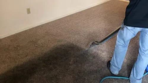 Simply Clean Carpet Care - Photo 5
