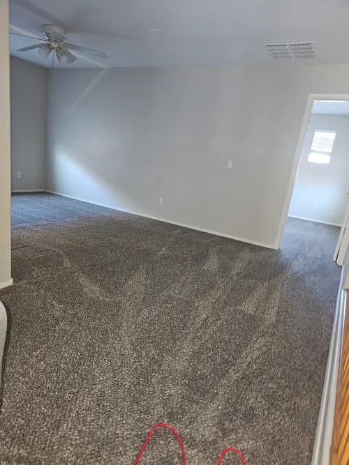 Sixth Sense Cleaning - Photo 3