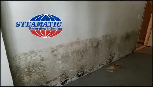 SKY5 Cleaning Systems Inc. - Photo 5