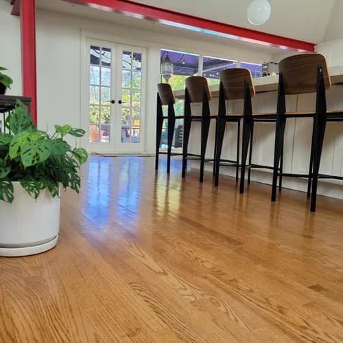 Smells Clean - Photo 1