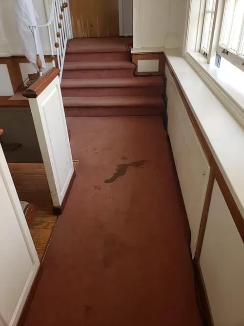 SO Clean Cleaning Co. - Photo 2