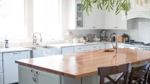 So Fresh and So Green - Photo 1