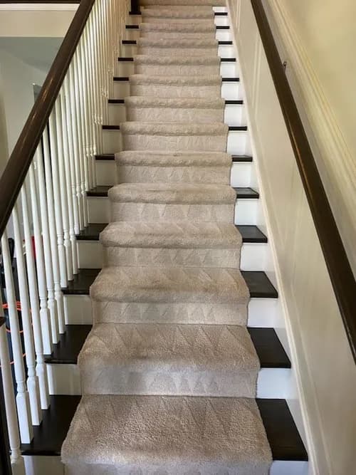 Sophia's Cleaning Service - Photo 4