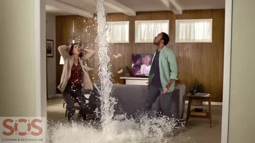 SOS Building Services Inc