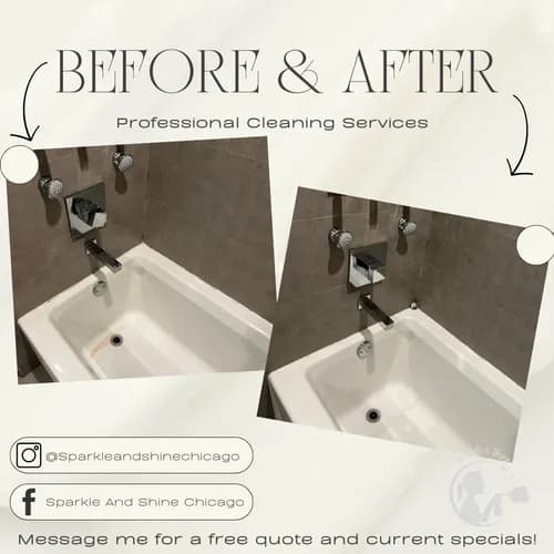 Sparkle and Shine Chicago - Photo 1