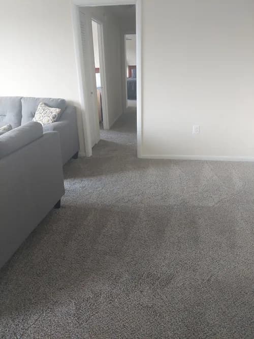 Sparkle Finish Cleaning Services - Photo 3