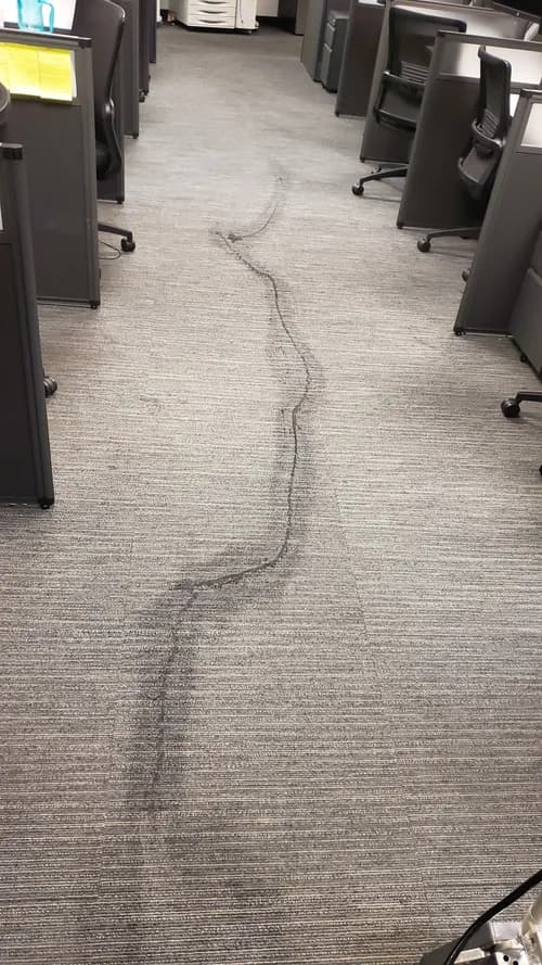 Sparkle Freshness - Office, Commercial & Post Construction Cleaning Carlsbad - Photo 3