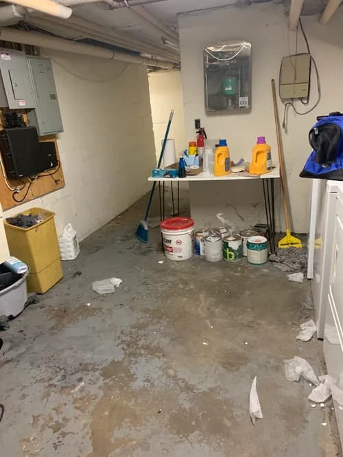 Sparkle & Grace Cleaning Inc - Photo 5