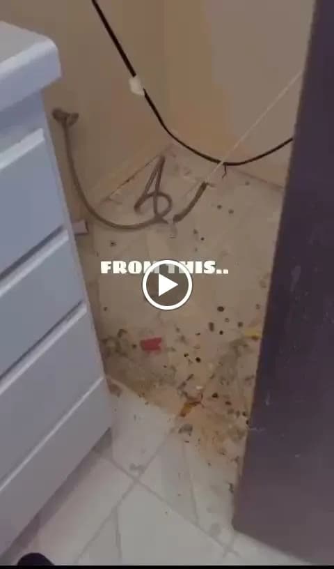 Sparkle n' Clean - Photo 3