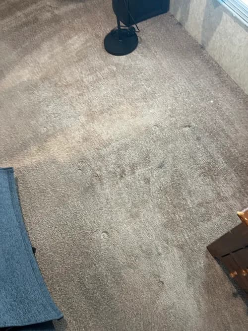 Sparkle Pro Cleaning - Photo 4