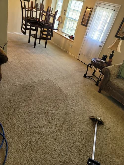 Special Cleaning Services