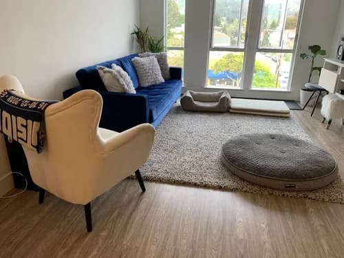 Spectacular Housekeeping, LLC - Photo 1