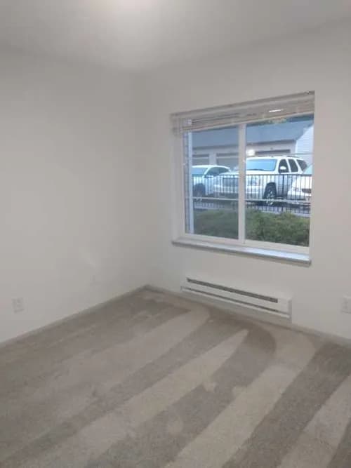 Spick and Sparkle Cleaners