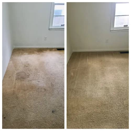 Spotless Clean and Carpet Care - Photo 2