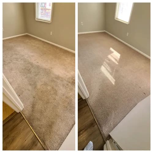 Spotless Clean and Carpet Care - Photo 3