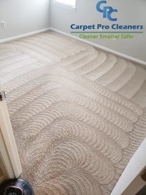 Spotless Clean and Carpet Care - Photo 4