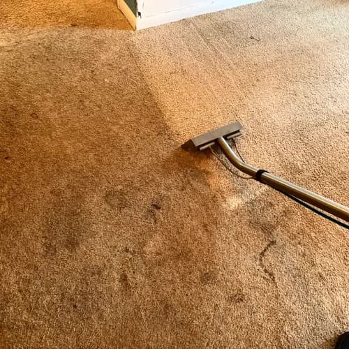 Spotless Clean and Carpet Care