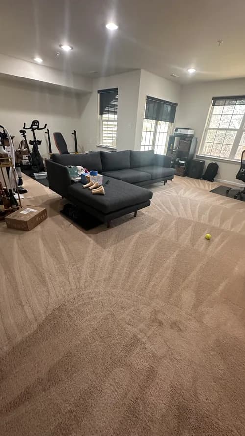 Spotless Clean Cleaning Services - Photo 2