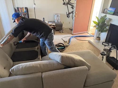 Spotz Deep Clean Carpet - Photo 4