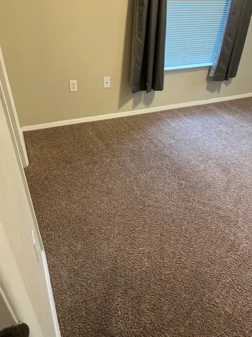 Spotz Deep Clean Carpet - Photo 3