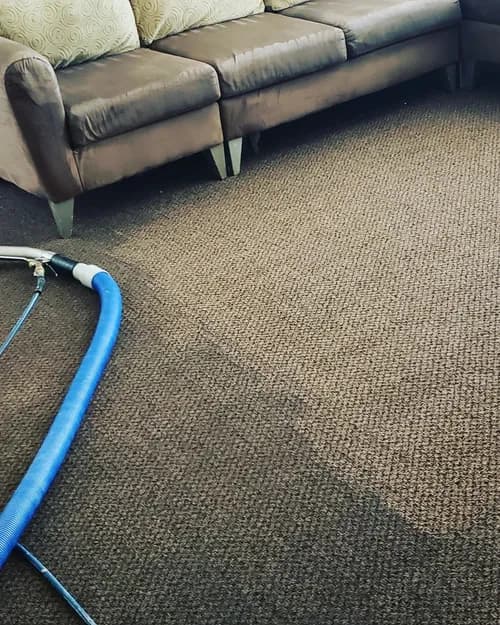 Spotz Deep Clean Carpet - Photo 2