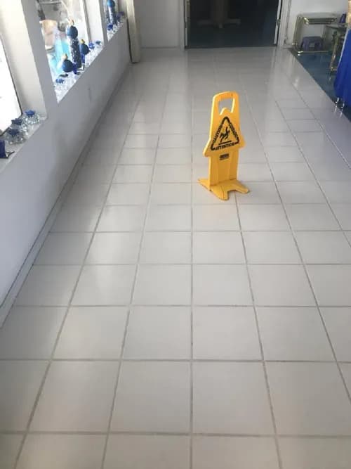 Squeaky cleaning pros - Photo 3