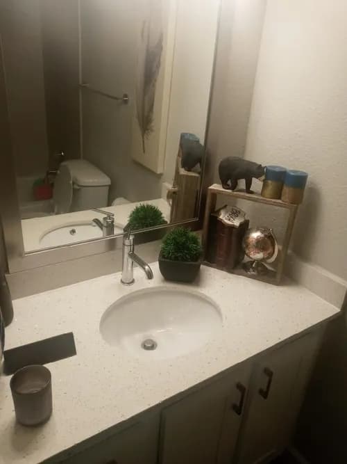 Squeaky cleaning pros - Photo 2