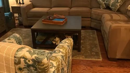 SSunshine cleaning services - Photo 5