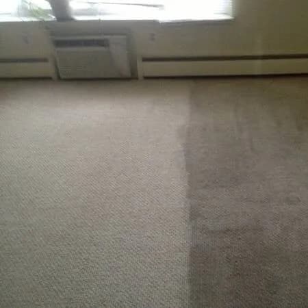 Stanley Steemer - Photo 5