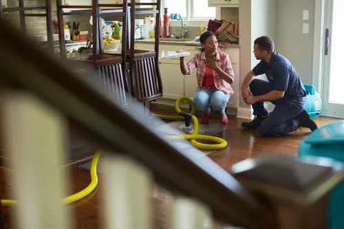 Stanley Steemer - Photo 4