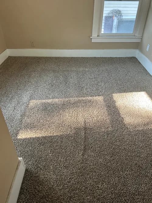 Stanley Steemer - Photo 5