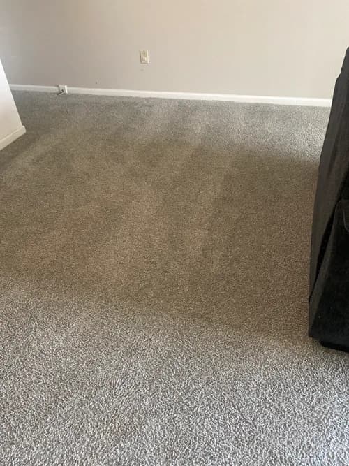 Stanley Steemer - Photo 5