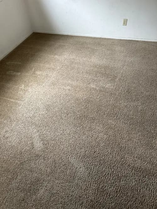 Stanley Steemer - Photo 4