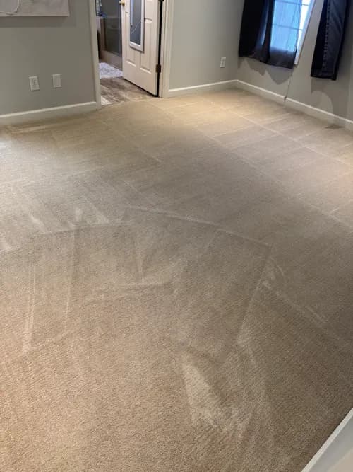 Stanley Steemer - Photo 5