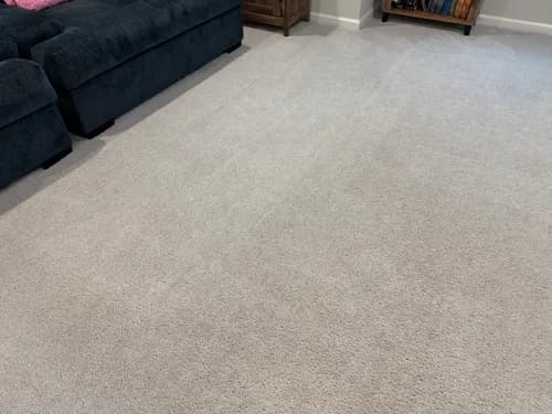 Stanley Steemer - Photo 4