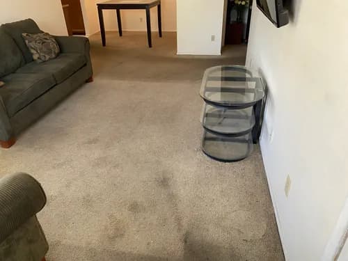 State 48 Cleaning Services - Photo 3