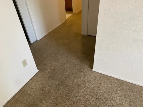 State 48 Cleaning Services - Photo 2