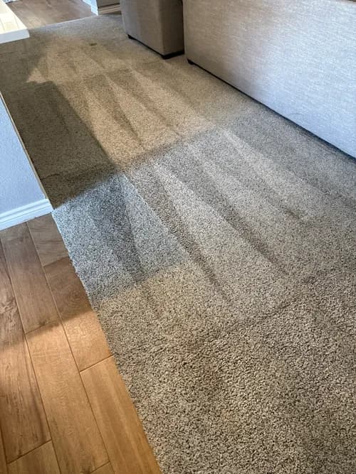 Steam Master Cleaning and Restoration - Photo 1