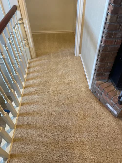 Steam Master Cleaning and Restoration - Photo 5