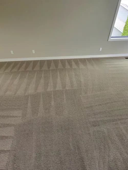 Steam Plus Cleaning and Restoration - Photo 2