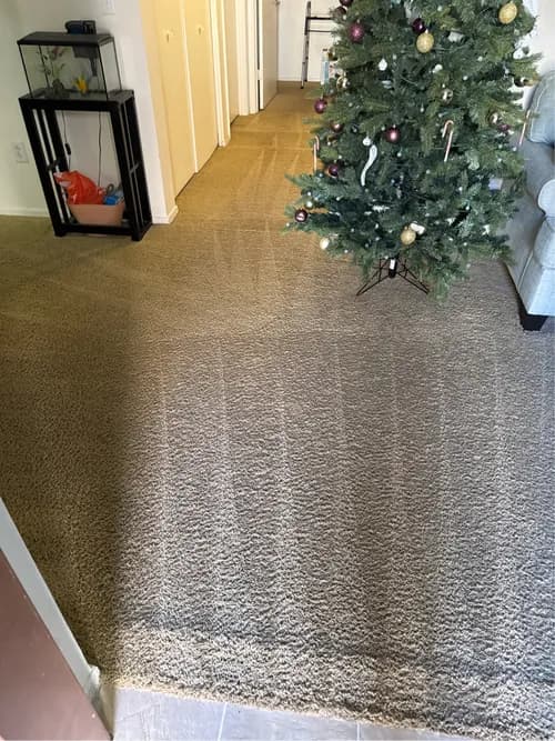 Steam Smart Pro Carpet Duct & Tile Cleaning - Photo 2