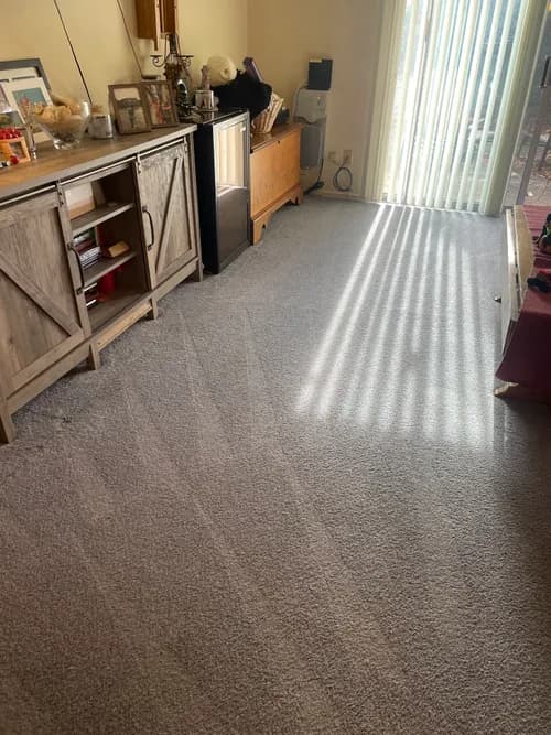 Steam Works Cleaning & Restoration - Photo 5