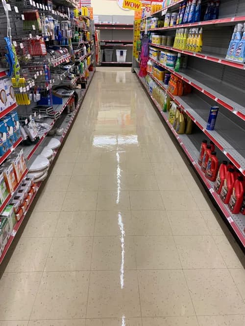 Suarez Efficient Cleaning