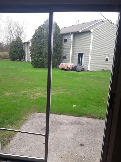 Sunrise Temporary Help & Housekeeping Services LLC - Photo 3