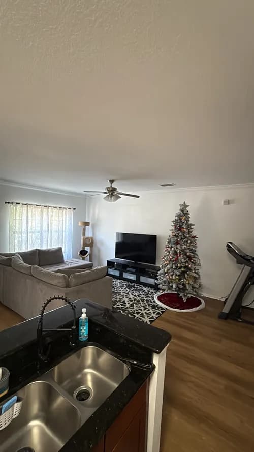 Superb Maids Tampa - Photo 2