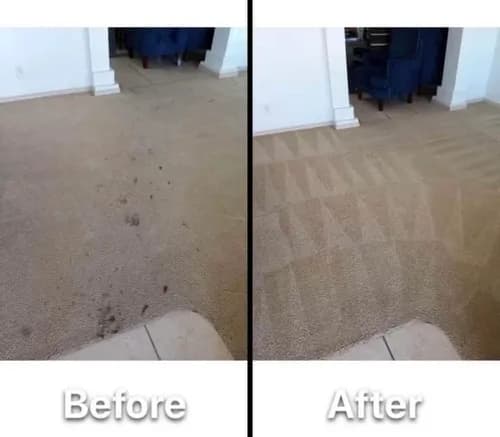 Supreme Carpet Cleaning - Photo 4