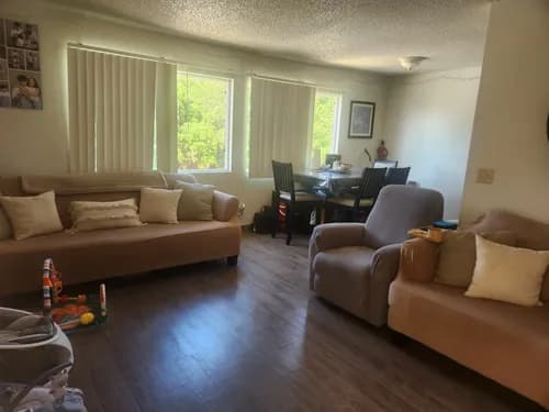 Suzy Spotless housecleaning