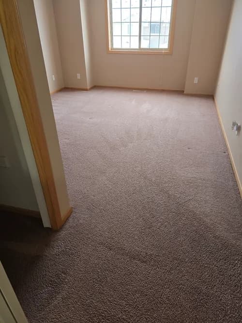 Sweepee Cleaning - Photo 4