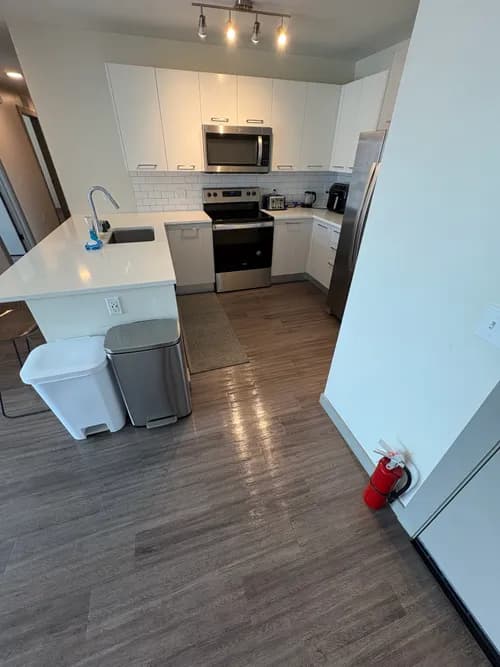 Tampa Premium Cleaning LLC. - Photo 4