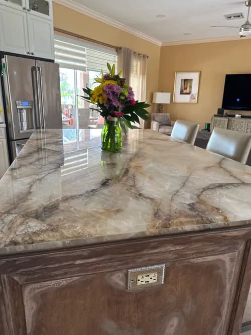 Tampa Sarasota cleaning service - Photo 3